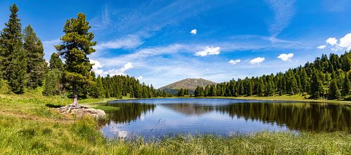 Schwarzsee op het Driemerenpad, Turracher Höhe in Karinthië, Oostenrijk