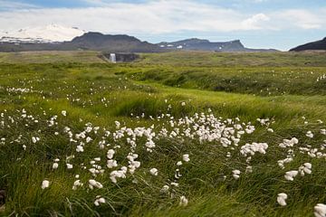 Isländische Landschaft von Ewan Mol