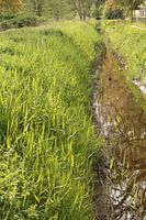 The silent trench