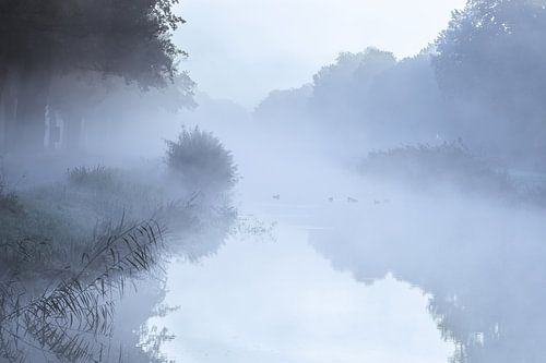 A misty morning over the water in Drenthe