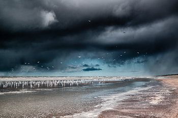 Entre le surf et la plage nord de Scheveningen