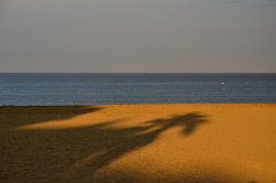 Schaduw op het strand