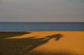 L'ombre sur la plage sur Jaco Verheul