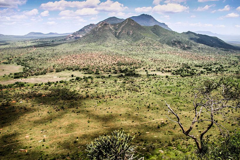 Vue du Kenya par Leon Weggelaar