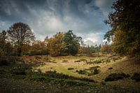 Drentsch Landschap