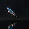 The kingfisher fishing spot! by Robert Kok