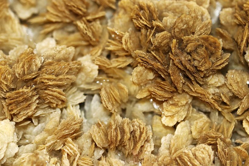 Das Mineral Barit ist rosa, grau, weiß, gelb, blau oder farblos von Jolanta Mayerberg