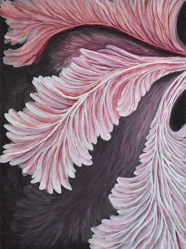 pink feather mushrooms