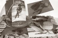 Flying van True Color Stories thumbnail