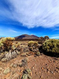 In de bergen #5 van zam art