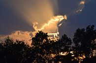 Fantastischer schöner Himmel von Els Royackers Miniaturansicht