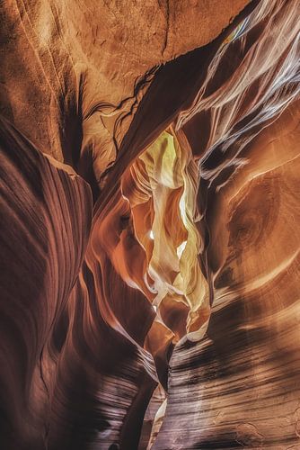 Canyon des antilopes