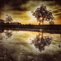 Michael Detter - Landscapes1