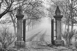 Entrance of old estate