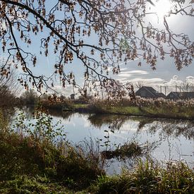 Het riviertje Gein in de herfst. van Don Fonzarelli