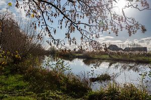 Der Fluss Gein im Herbst.