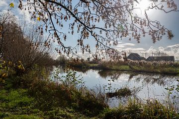 Het riviertje Gein in de herfst. van Don Fonzarelli