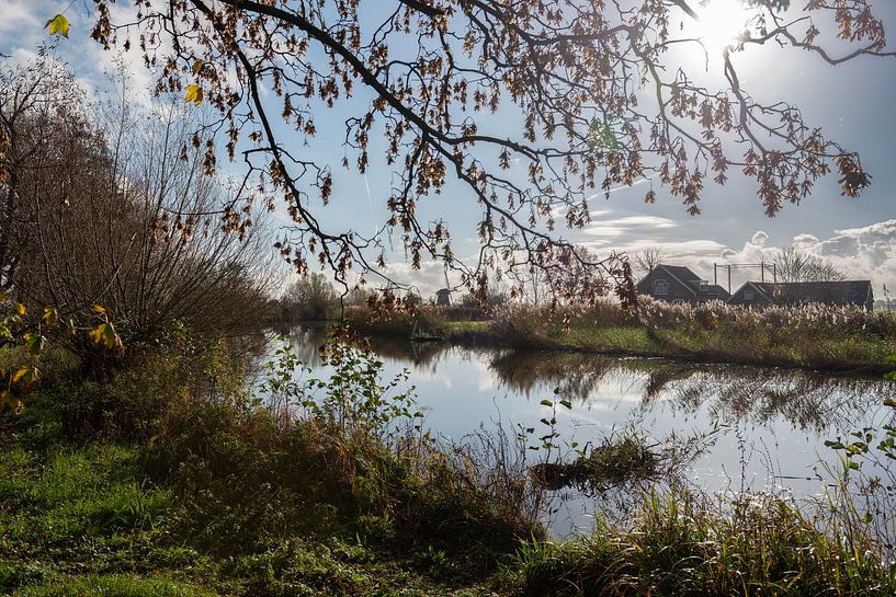 Het riviertje Gein in de herfst. van Don Fonzarelli