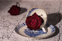 Still-Life with Roses