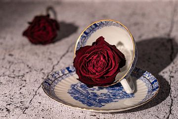 Still-Life with Roses van Uschi Jordan