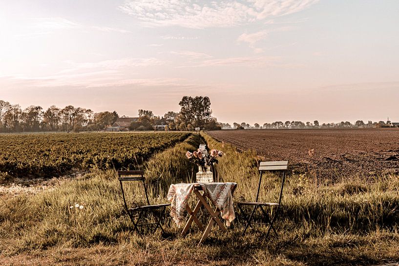 Garden Chair traveling in Zeeland II by Irene van de Wege