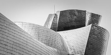 Guggenheim Museum in Zwart-Wit, Bilbao van Henk Meijer Photography