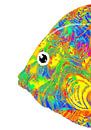 kleurrijke vissen van Marion Tenbergen thumbnail
