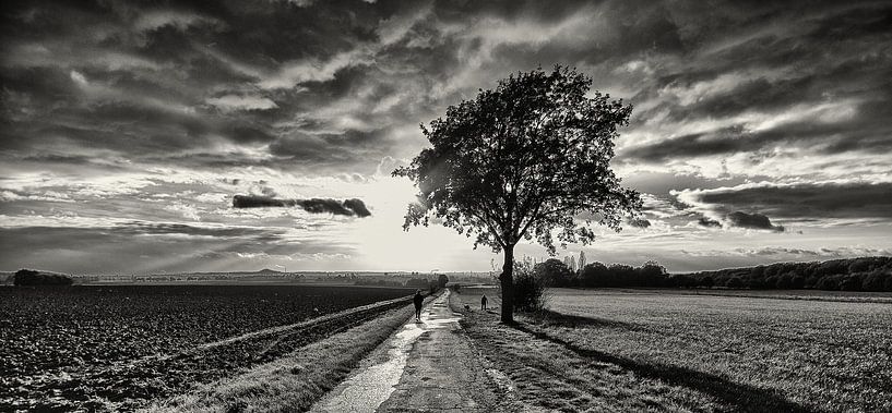 Herfst in Zwart Wit par Koen Lambooij