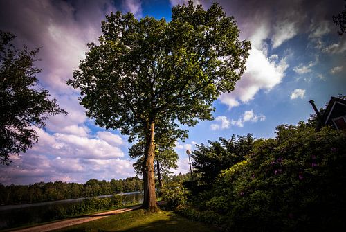Natur