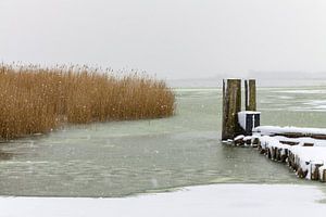 Winter on shore of a lake sur Rico Ködder