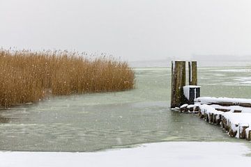 Winter on shore of a lake van Rico Ködder
