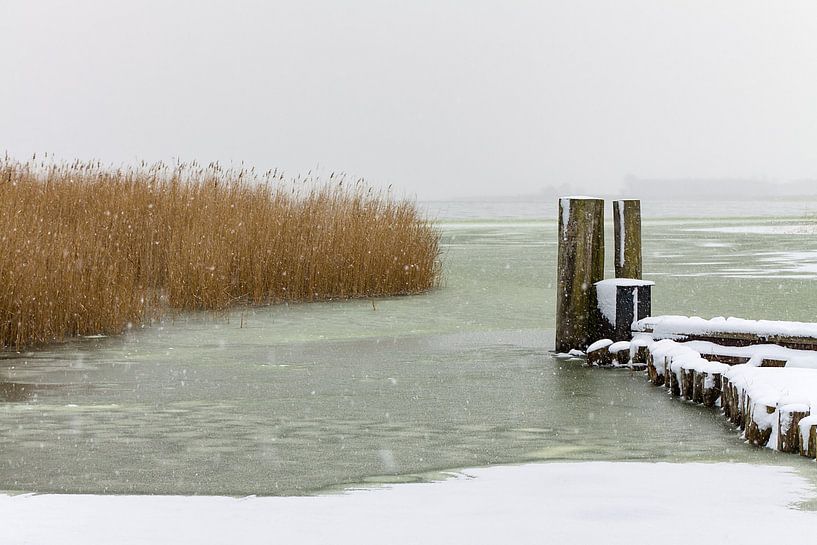 Hafen von Ahrenshoop am Bodden im Winter van Rico Ködder