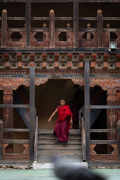 Bhutanese monk in red robes walks down stairs by Teun Janssen