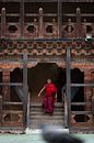Bhutanese monk in red robes walks down stairs by Teun Janssen thumbnail