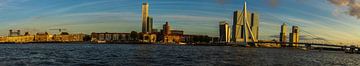 Die Skyline von Rotterdam von Richard Kortland