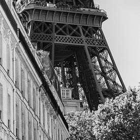 Eiffel Tower seen from one of the surrounding streets by Melissa Peltenburg
