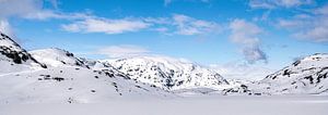 Minimalistische Schneelandschaft, Norwegen