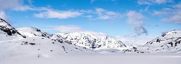 Minimalistisch sneeuwlandschap, Noorwegen