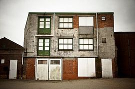 Herman van den Boom lookalike