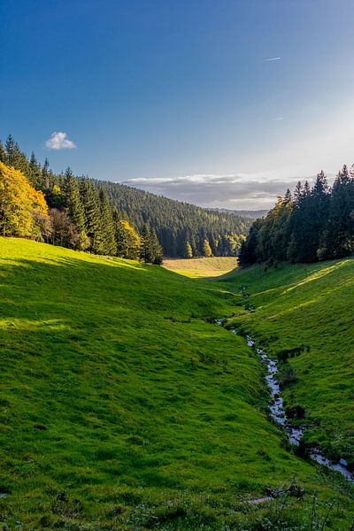 Randonnée automnale à travers la forêt de Thuringe par Oliver Hlavaty