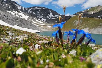 Les montagnes majestueuses autour du Piz Rims dans le Tyrol du Sud sur Miriam Schwarzfischer Fotografie