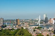 Panorama Erasmus Bridge Rotterdam. by Brian Morgan thumbnail