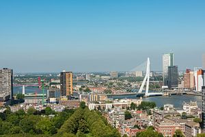 Panorama Erasmusbrücke Rotterdam.