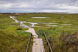 Naturschutzgebiet De Slufter auf Texel von Rob Boon