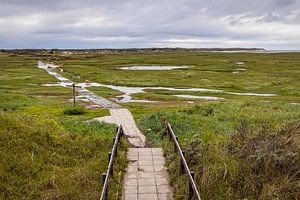 Naturschutzgebiet De Slufter auf Texel