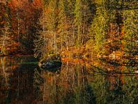 Natuur 12