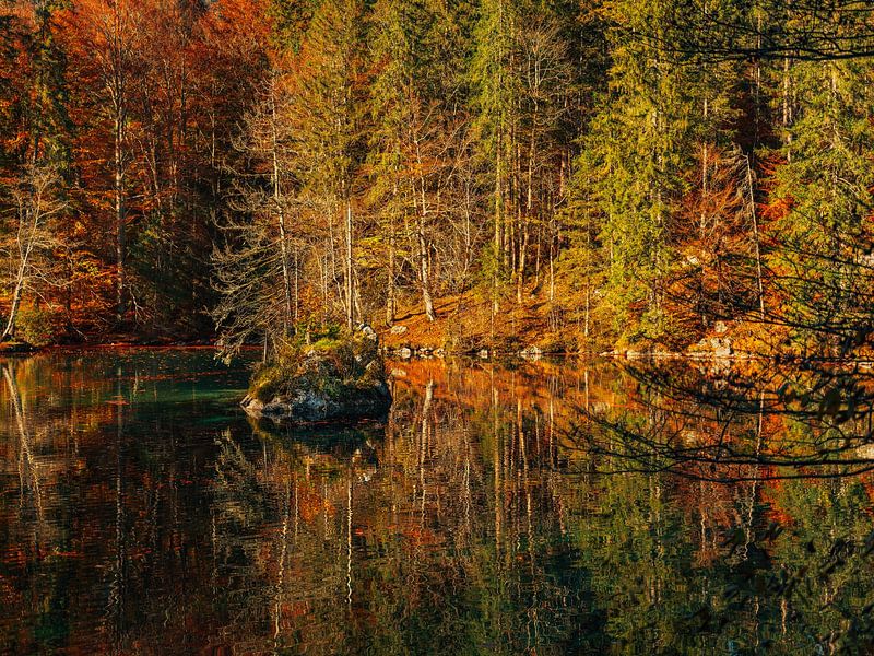 Nature 12 by Steven Plitz