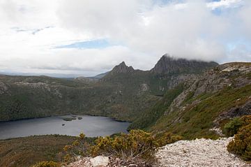Tasmanien Australien Cradle Mountain National Park von Richard Wareham