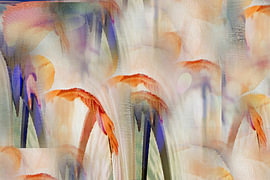 Echoes in Pastel by Alberé de Ville