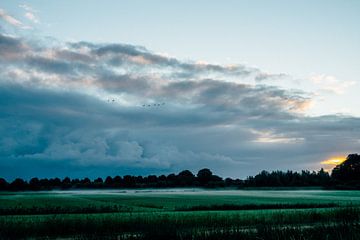 Zicht op de landerijen rondom Naarden bij zonsopkomst van Suzanne Spijkers